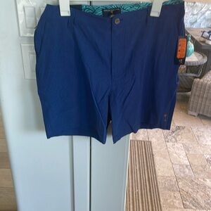 Men's Blue Shorts